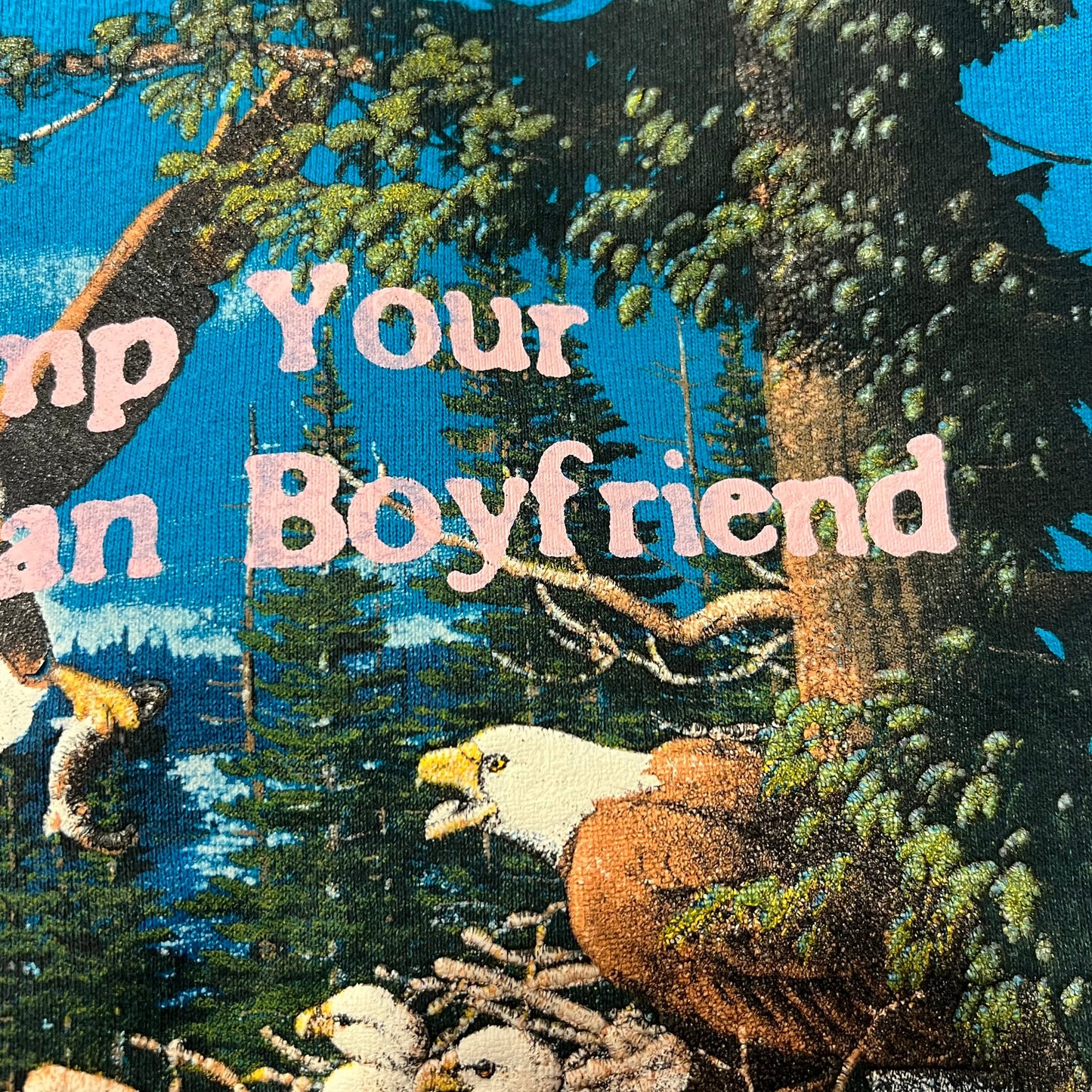 DUMP YOUR REPUBLICAN BOYFRIEND animal crewneck with pink text (XL)
