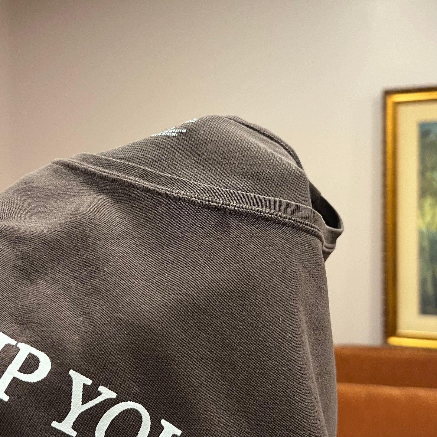 DUMP YOUR REPUBLICAN BOYFRIEND brown t-shirt with white text (PM)