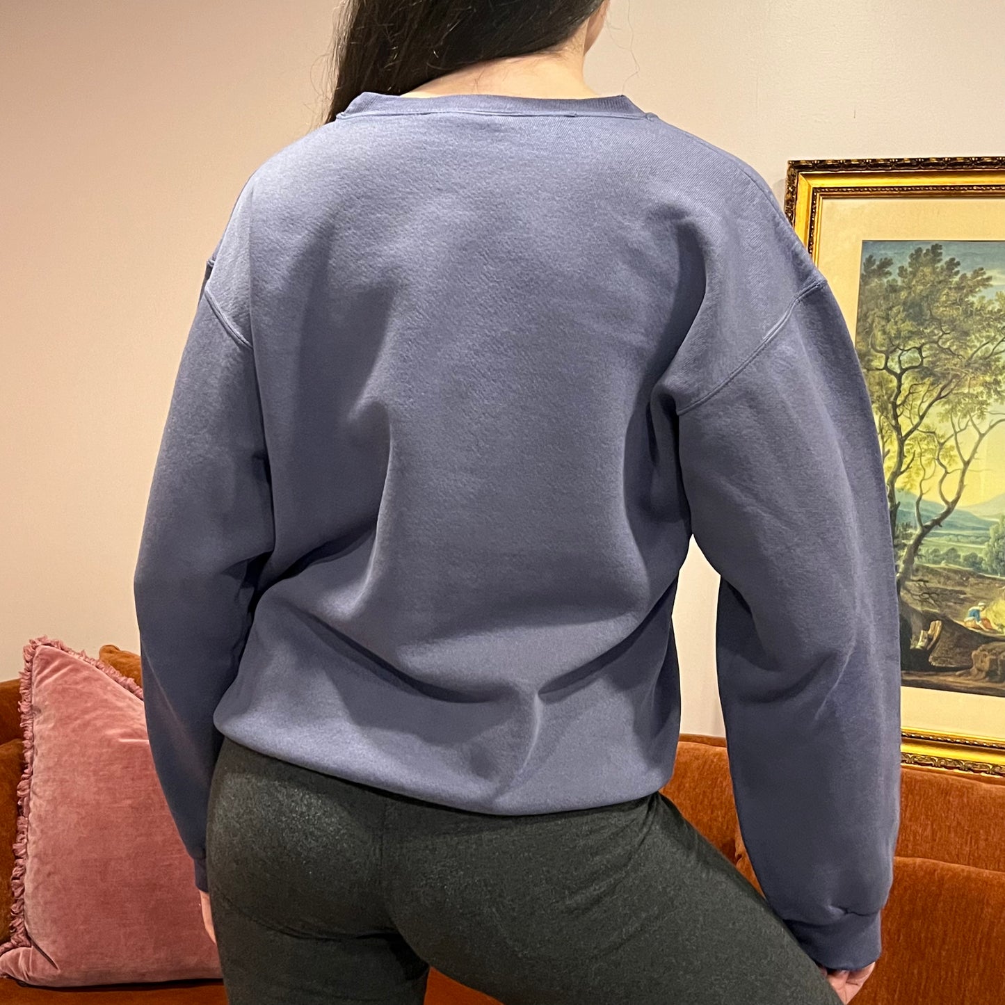 DIVORCE YOUR REPUBLICAN HUSBAND animal crewneck with pink text (M)