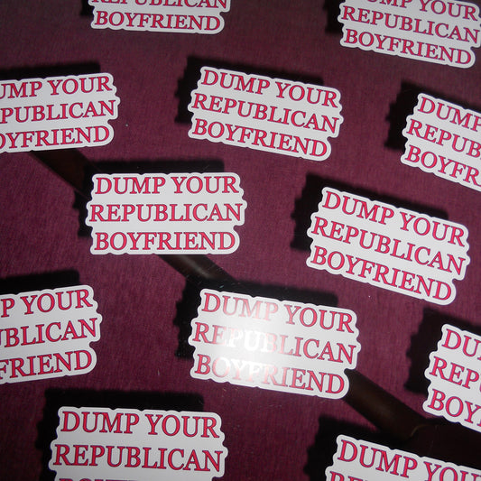 DUMP YOUR REPUBLICAN BOYFRIEND car magnet