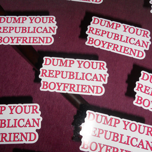 DUMP YOUR REPUBLICAN BOYFRIEND car magnet