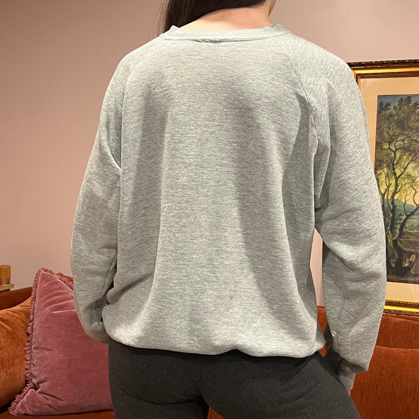 DUMP YOUR REPUBLICAN BOYFRIEND animal crewneck with pink text (XL)