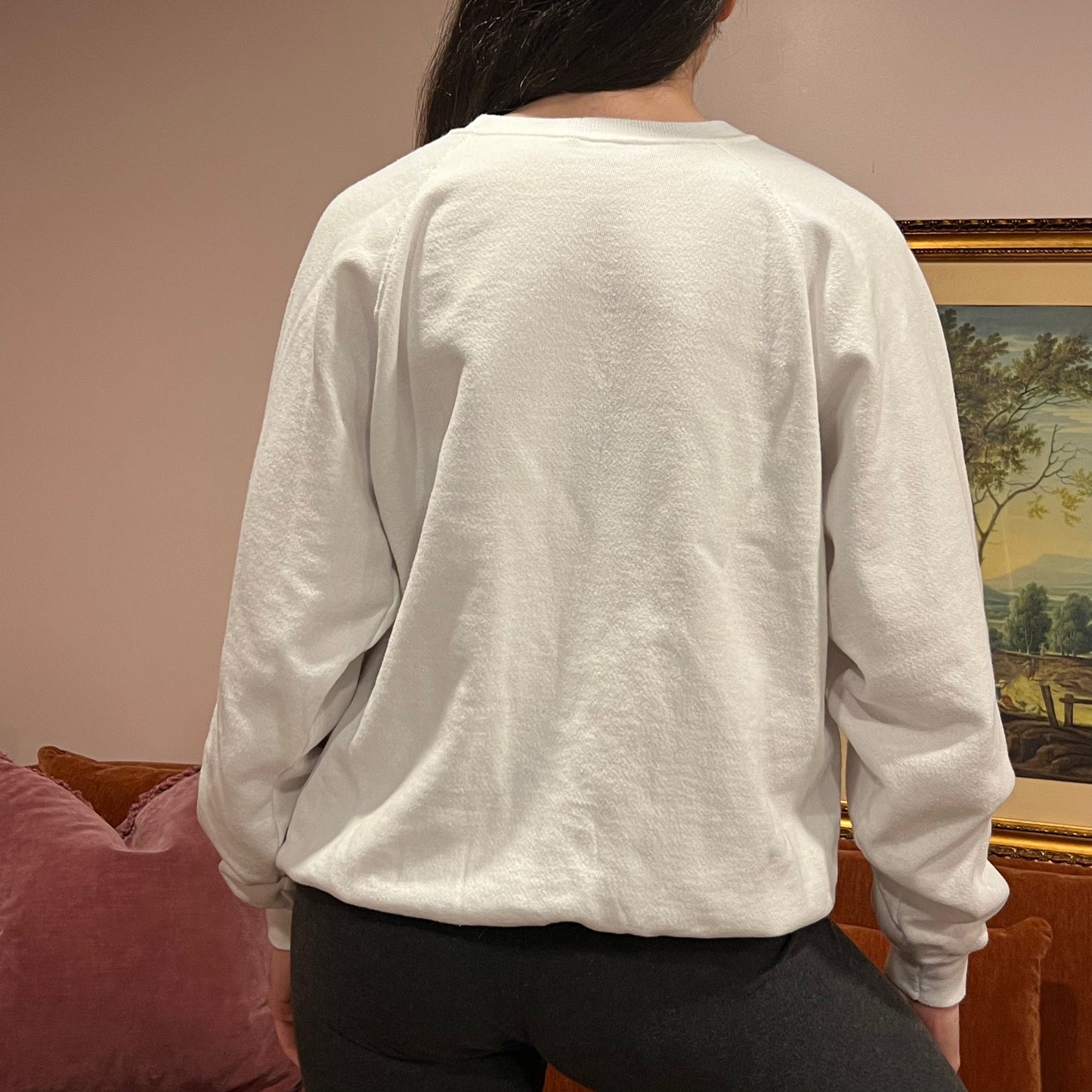 DUMP YOUR REPUBLICAN BOYFRIEND duck crewneck with blue text (XL)