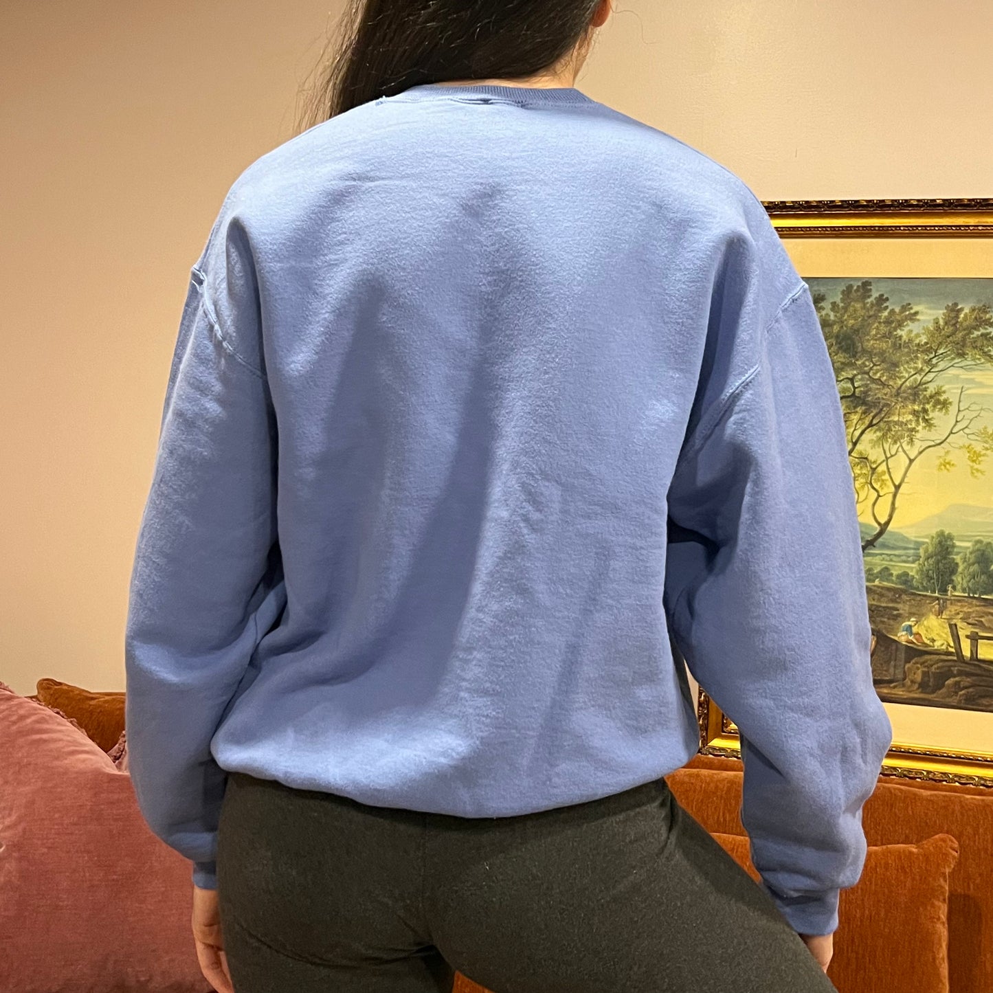 DIVORCE YOUR REPUBLICAN HUSBAND bear crewneck with blue text (M)