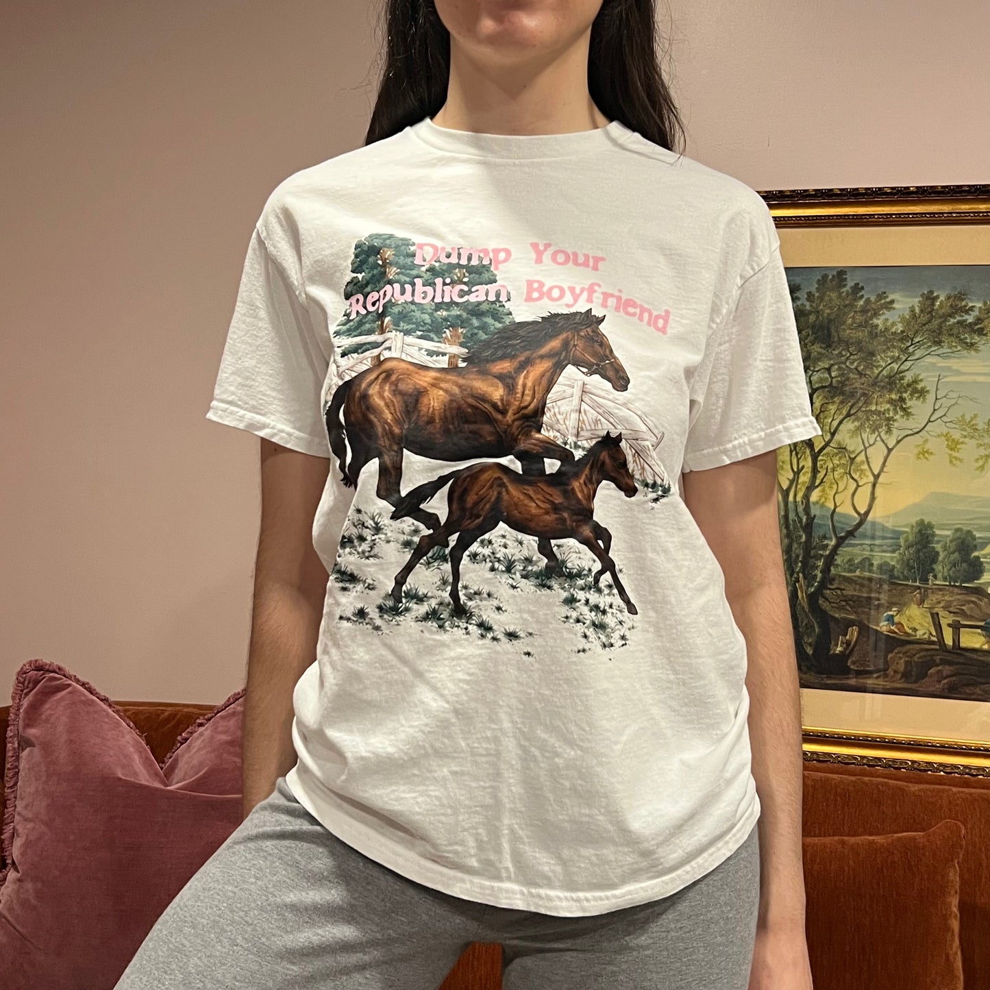 DUMP YOUR REPUBLICAN BOYFRIEND horse t-shirt with pink text (M)