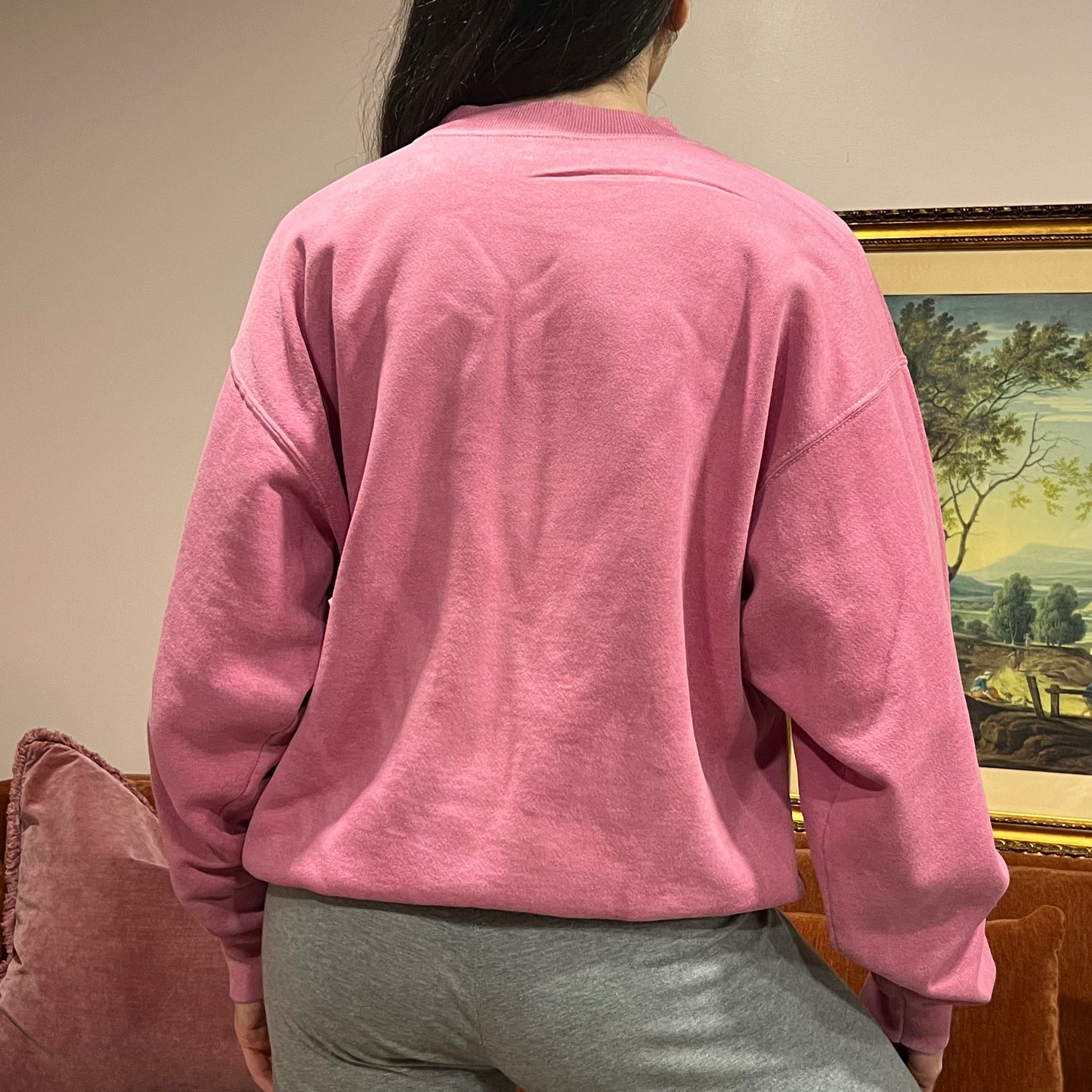 DUMP YOUR REPUBLICAN BOYFRIEND wolf crewneck with pink text (XL)