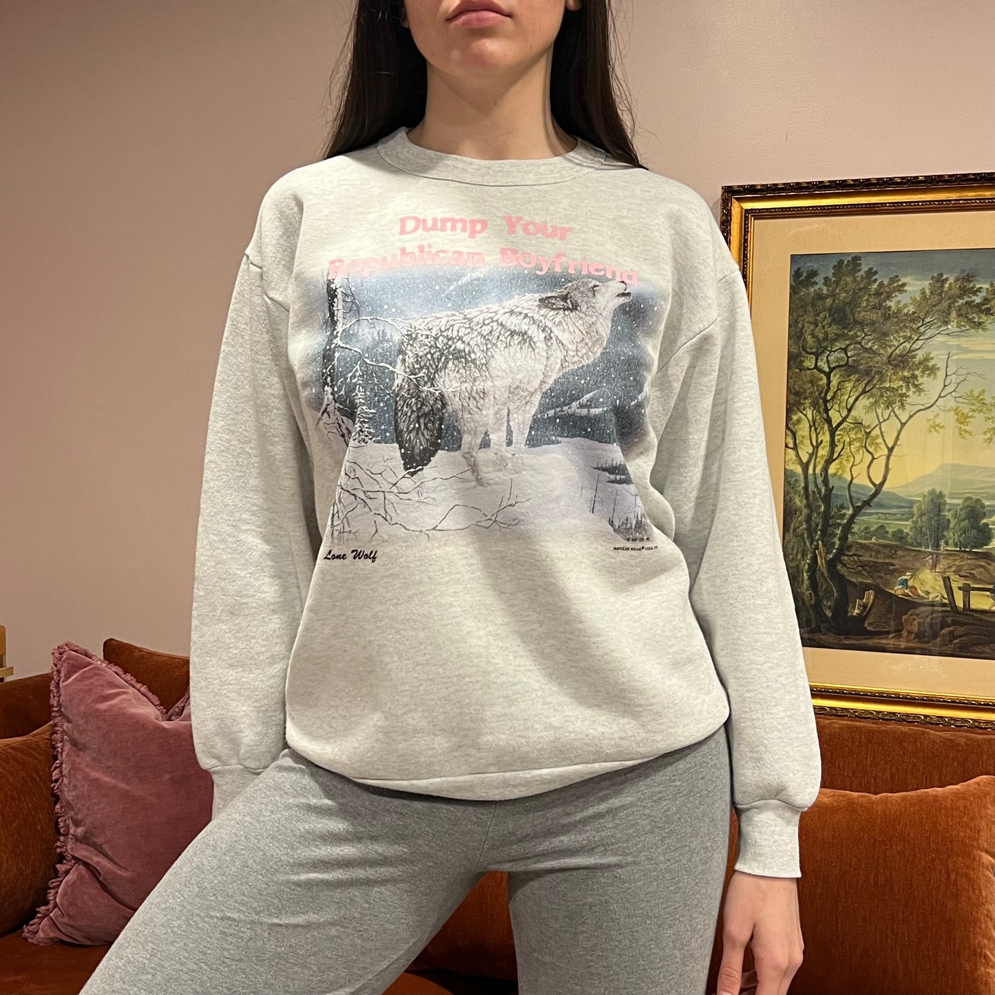 DUMP YOUR REPUBLICAN BOYFRIEND animal crewneck with pink text (L)