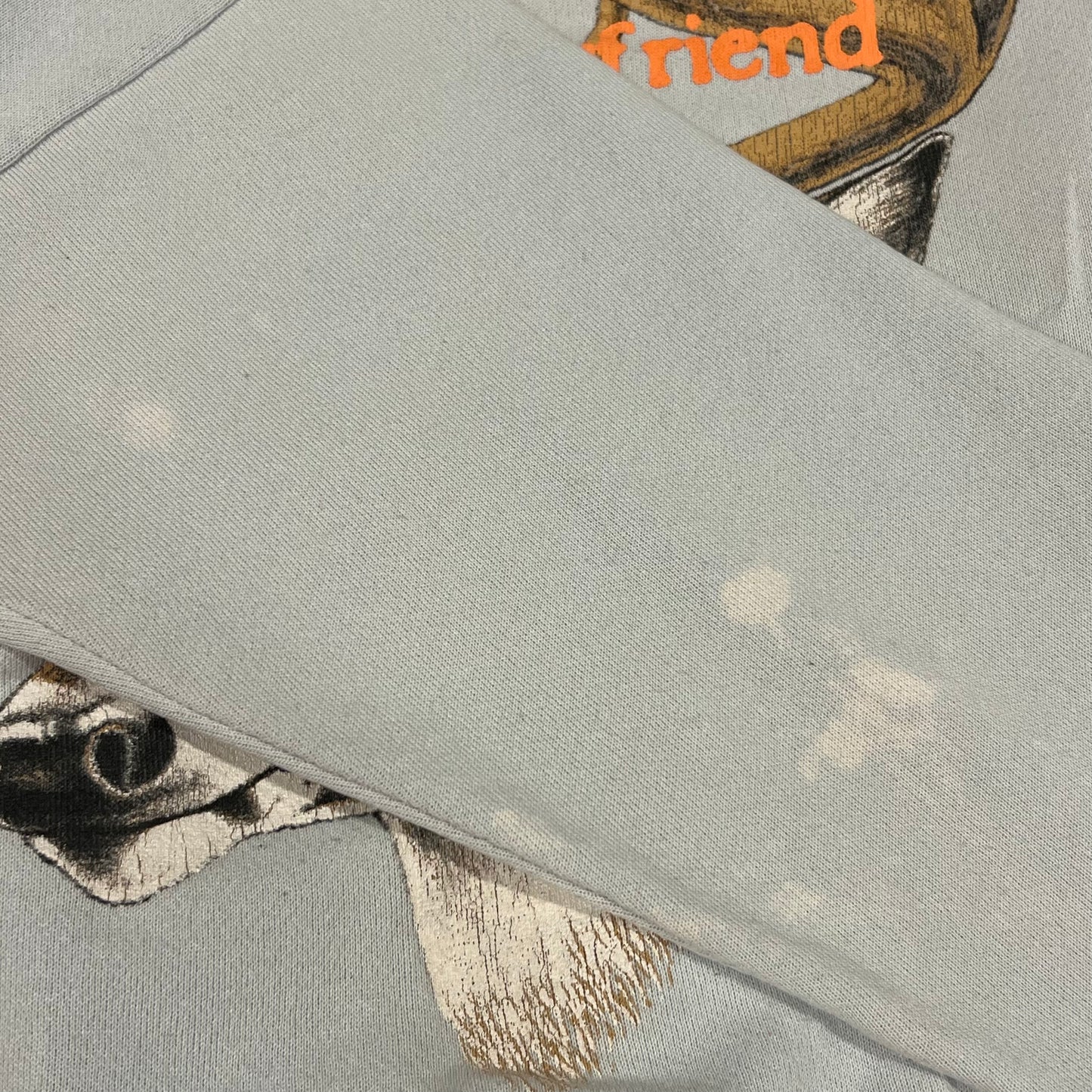DUMP YOUR REPUBLICAN BOYFRIEND animal crewneck with orange text (L)