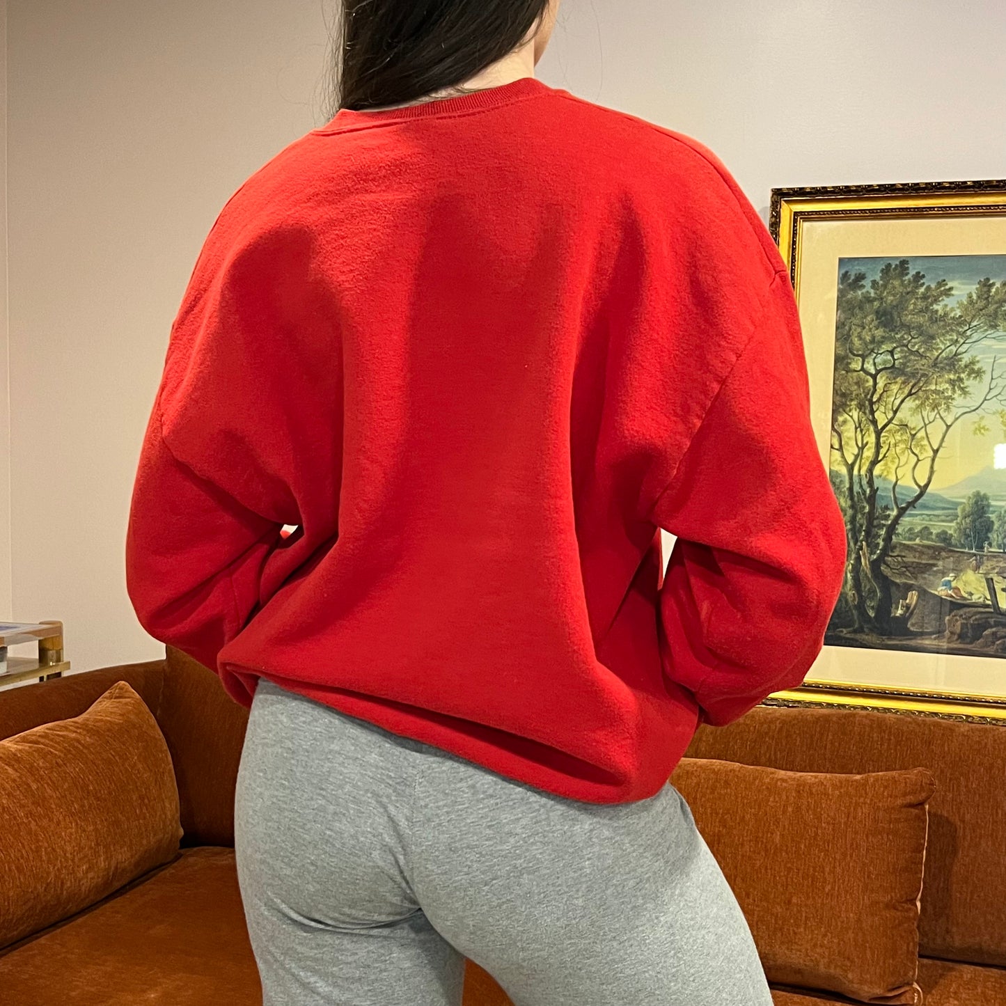 DUMP YOUR REPUBLICAN BOYFRIEND red crewneck with white text (XL)