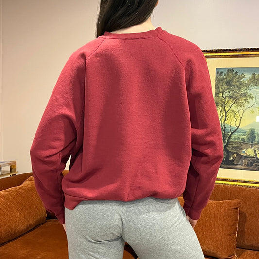 DUMP YOUR REPUBLICAN BOYFRIEND red crewneck with white text (XL)