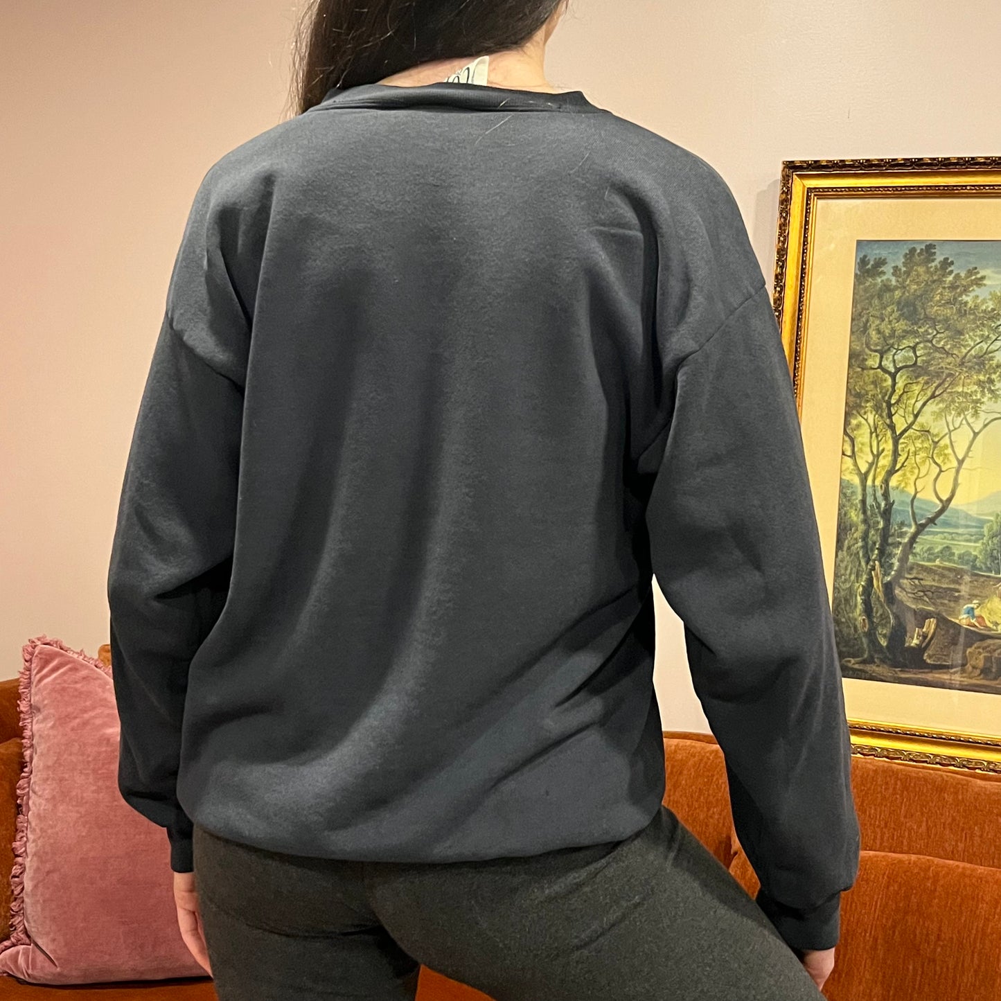 DIVORCE YOUR REPUBLICAN HUSBAND animal crewneck with pink text (L)